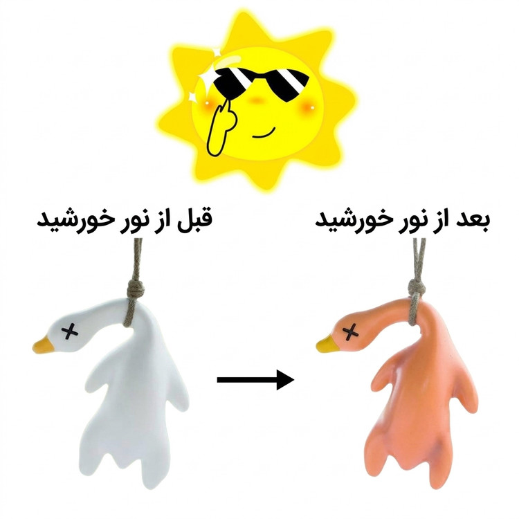 اردک کبابی